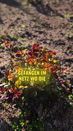 1 Clip hinzufügen