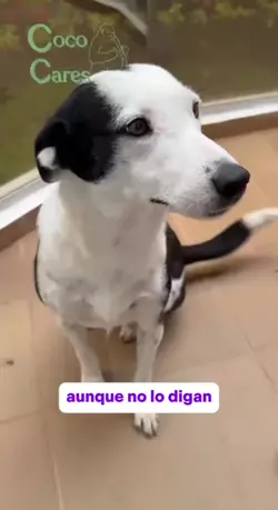Agregar 1 clip