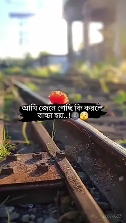 Add 1 clip