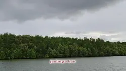 Add 1 clip