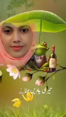Add 1 clip