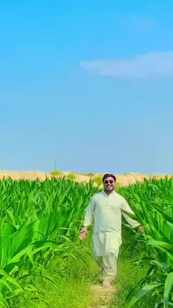 Add 1 clip