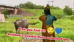 Add 1 clip