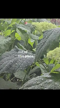Add 1 clip
