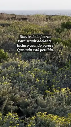 Agregar 1 clip