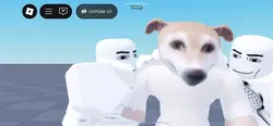 Add 1 clip