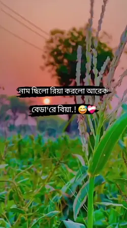 Add 1 clip