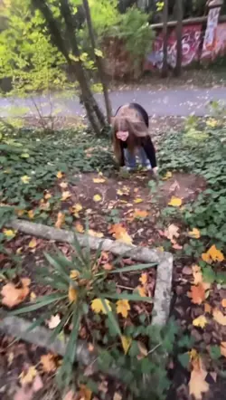 6 Clips hinzufügen