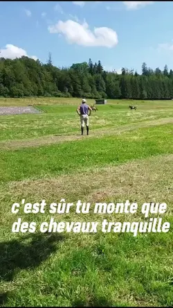 Ajoute 15 clips