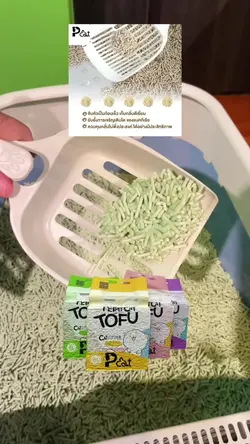 เพิ่ม 6 คลิป