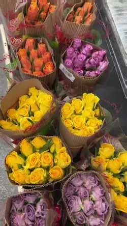 Adaugă 6 clipuri