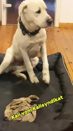 2 Clips hinzufügen