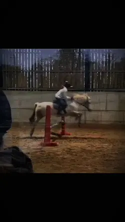 Add 1 clip