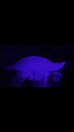 Ajoute 8 clips