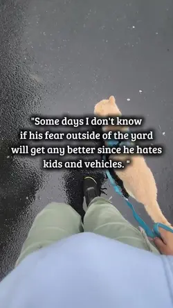 Add 2 clips