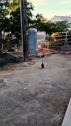 Agregar 1 clip