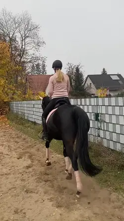 1 Clip hinzufügen