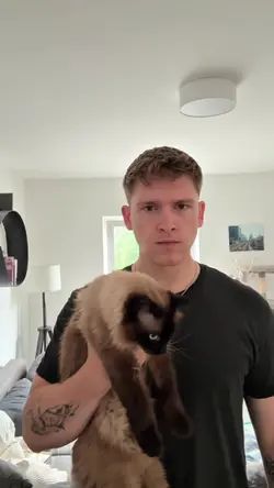 1 Clip hinzufügen