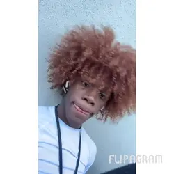 Add 19 clips