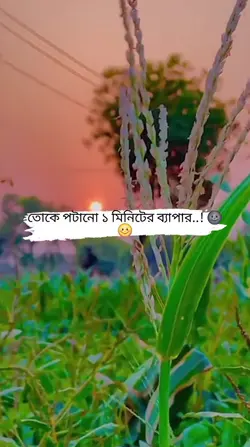 Add 1 clip