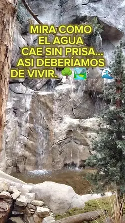 Agregar 2 clips