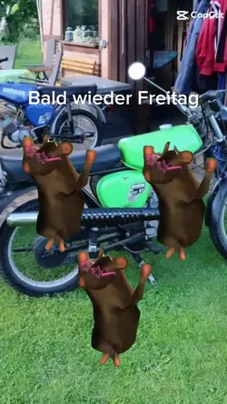 1 Clip hinzufügen