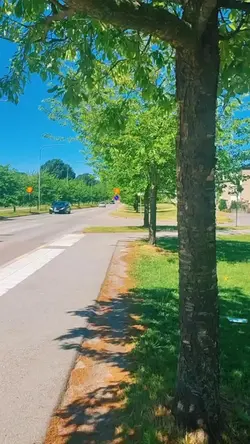 Add 1 clip