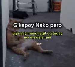 Add 1 clip