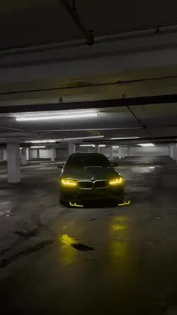 Add 7 clips