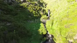 Add 1 clip