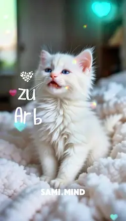 1 Clip hinzufügen