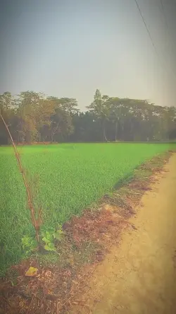 Add 1 clip