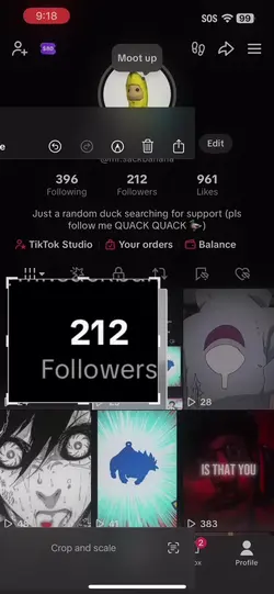 Add 1 clip