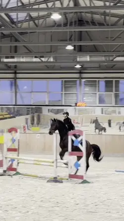 Add 1 clip
