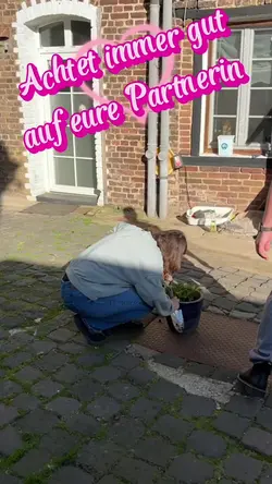 1 Clip hinzufügen