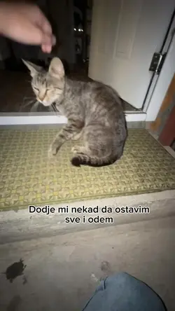 9 Clips hinzufügen