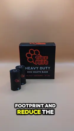 Add 7 clips