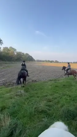 3 Clips hinzufügen