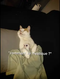 Ajoute 13 clips
