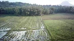 Add 1 clip